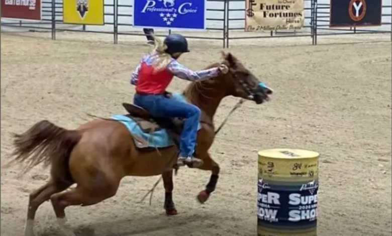 Emily Grace Las Vegas Incident: NBHA Horse Injury Allegations Spark Major Investigation